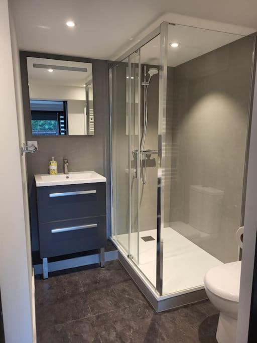 Le Bellevue Apartman Metz-Tessy Kültér fotó
